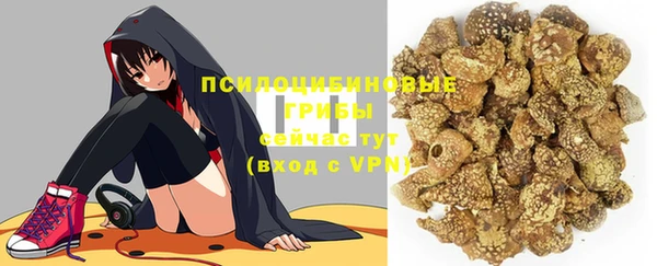 ешки Алексеевка