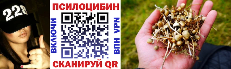 Галлюциногенные грибы Psilocybe  купить наркотик  KRAKEN как войти  Богданович 