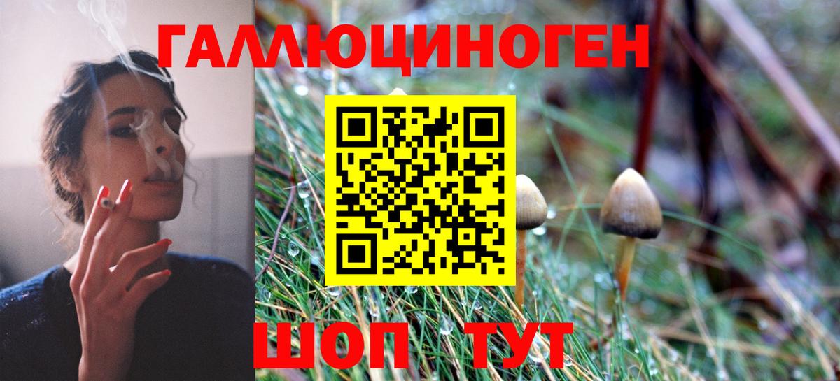 Псилоцибиновые грибы Psilocybine cubensis  Псилоцибиновые грибы Cubensis  Вход с VPN  купить закладку  Богданович 